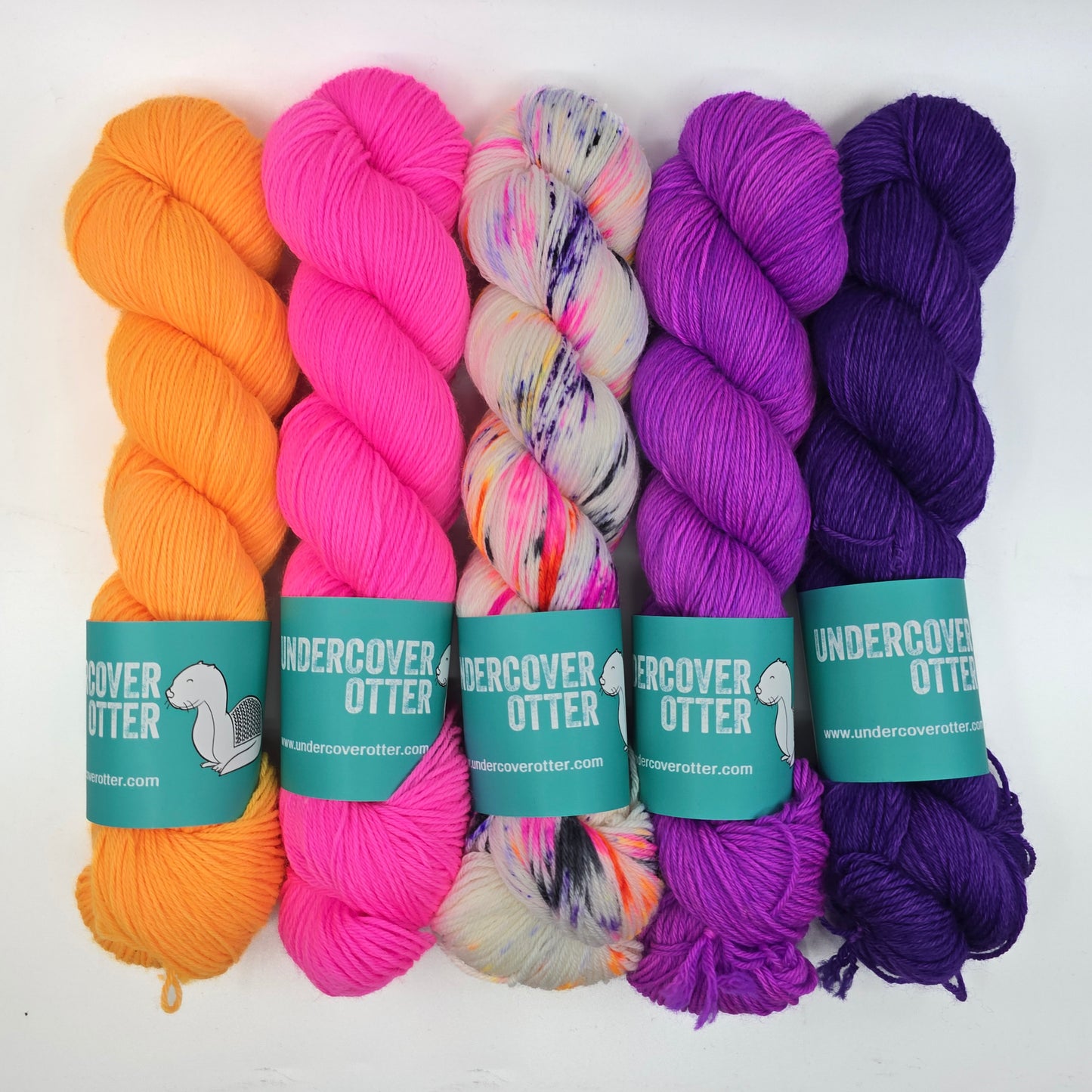 5 Skein Yarn Set - Gwyneth's Palette